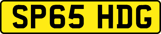 SP65HDG