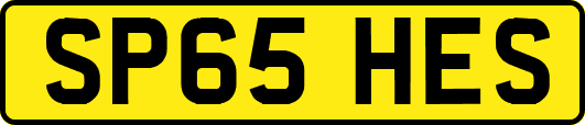 SP65HES