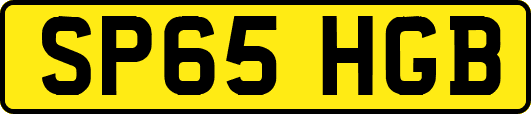 SP65HGB