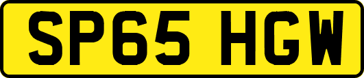 SP65HGW