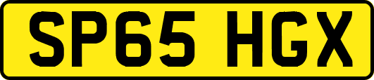 SP65HGX
