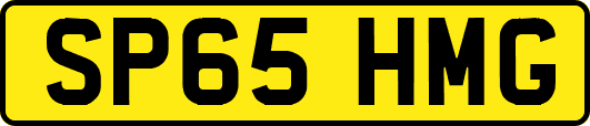 SP65HMG