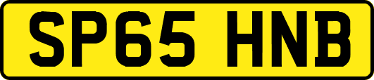 SP65HNB