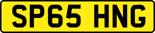 SP65HNG