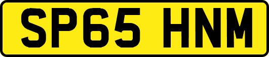 SP65HNM