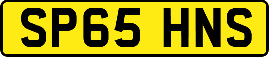 SP65HNS