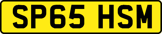 SP65HSM