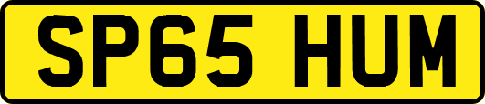 SP65HUM