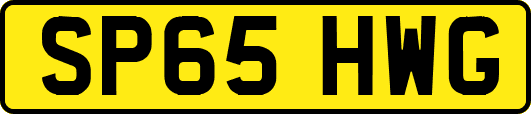 SP65HWG