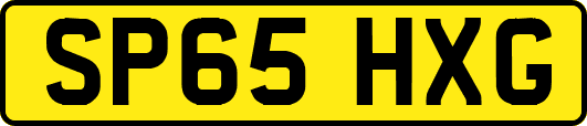 SP65HXG