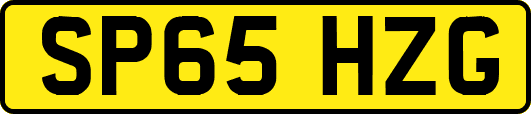 SP65HZG