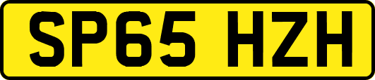 SP65HZH