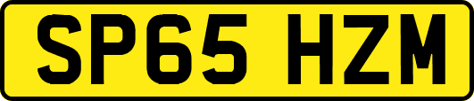 SP65HZM