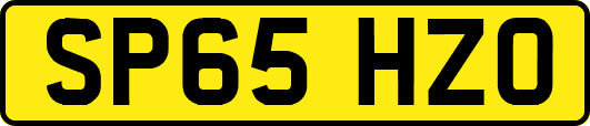 SP65HZO