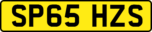 SP65HZS
