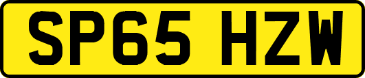 SP65HZW