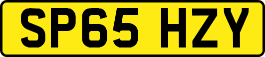 SP65HZY