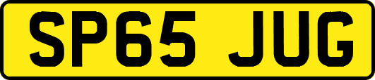 SP65JUG