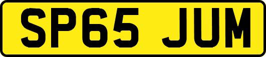 SP65JUM