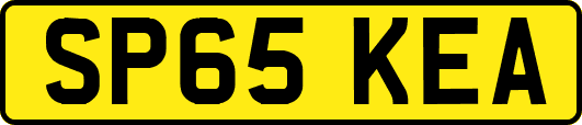 SP65KEA