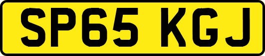 SP65KGJ