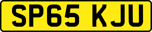 SP65KJU