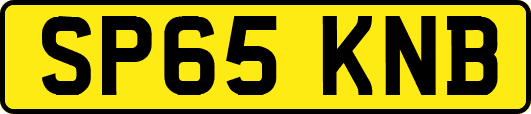 SP65KNB