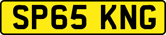 SP65KNG