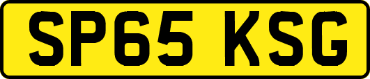 SP65KSG
