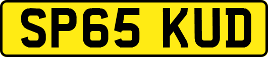 SP65KUD
