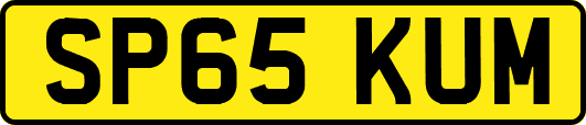 SP65KUM