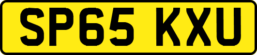 SP65KXU