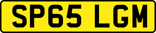SP65LGM