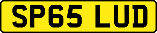 SP65LUD
