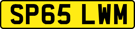 SP65LWM