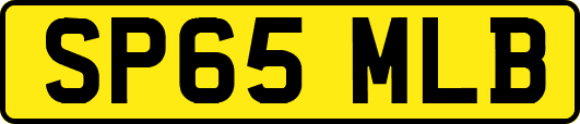 SP65MLB