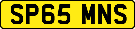 SP65MNS