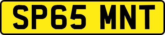 SP65MNT
