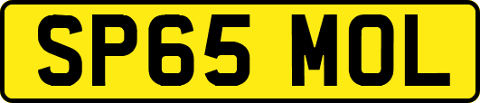SP65MOL
