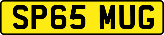 SP65MUG