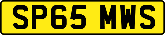 SP65MWS
