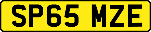 SP65MZE