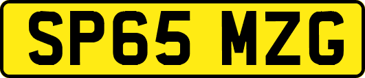 SP65MZG