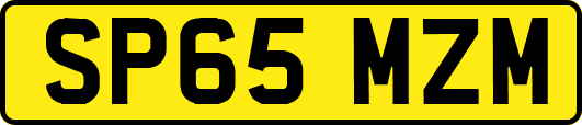 SP65MZM