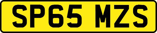SP65MZS