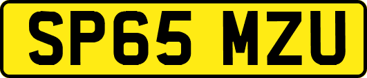 SP65MZU