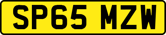 SP65MZW