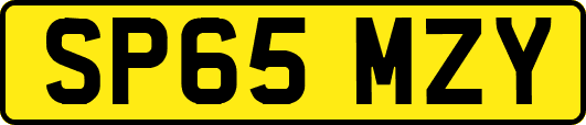 SP65MZY