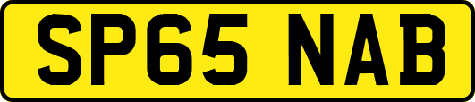 SP65NAB