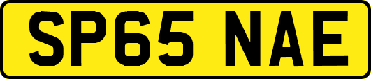 SP65NAE